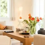Villa Dream Summer