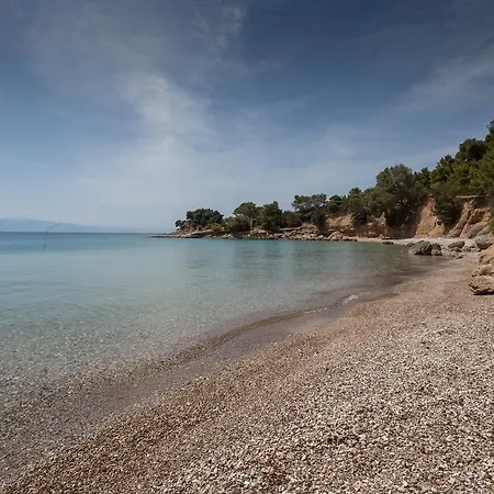 Dream Summer