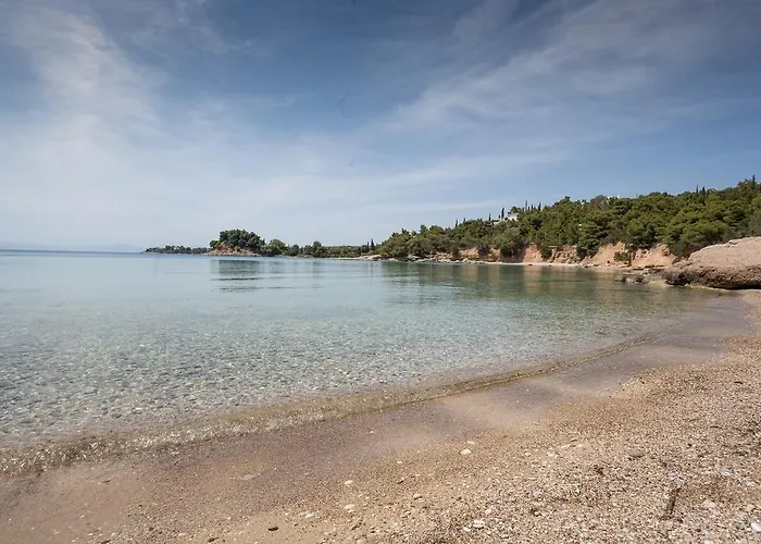 Dream Summer ヴィラ *