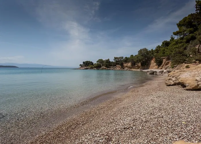 Dream Summer